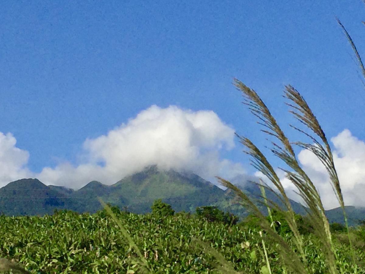 Residence Paradis Tropical Basse-Terre Luaran gambar