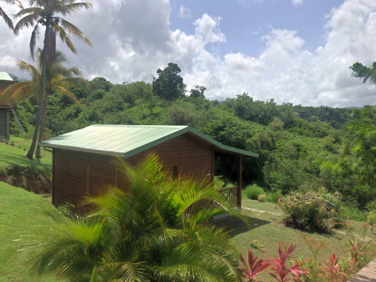 Residence Paradis Tropical Basse-Terre Luaran gambar