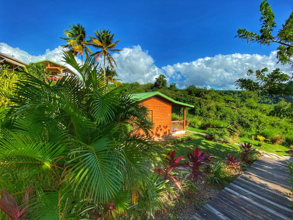 Residence Paradis Tropical Basse-Terre Luaran gambar